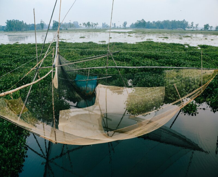 ঐতিহ্যবাহী মাছ ধরার দৃশ্য ঐতিহ্যবাহী মাছ ধরার দৃশ্য