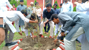 আরসিআরইউ’র ১৩তম প্রতিষ্ঠাবার্ষিকীতে ফিলিস্তিনে শহীদদের জন্য দোয়া