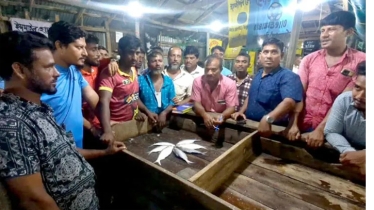 ভরা মৌসুমেও খালি হাতে ফিরছেন জেলেরা