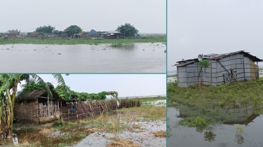 বিপৎসীমা ছুঁইছুঁই করছে পদ্মার পানি, ডুবেছে চর