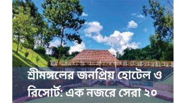শ্রীমঙ্গলের জনপ্রিয় হোটেল ও রিসোর্ট: এক নজরে সেরা ২০