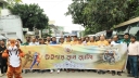 সুন্দরবনের বাঘ টিকিয়ে রাখতে টাইগার রানের ডাক