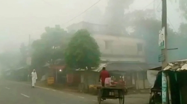 নওগাঁয় কুয়াশার চাদরে মোড়া শরতের সকাল, শীতের আগমনী বার্তা