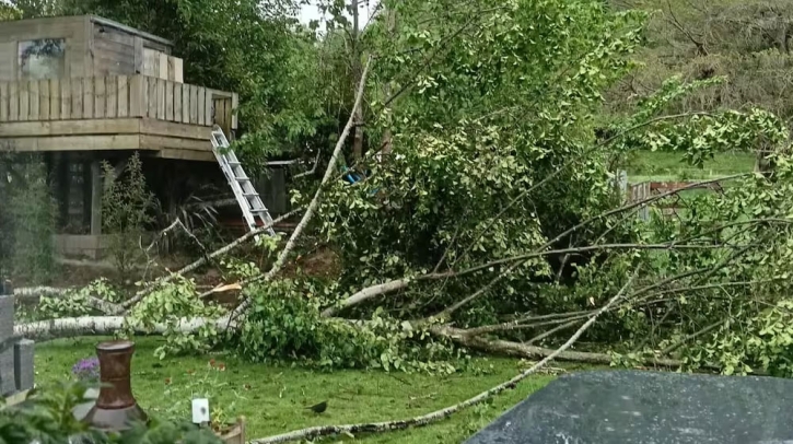 প্রবল ঝড়ে বিপর্যস্ত নিউজিল্যান্ড, বিদ্যুৎহীন লাখো মানুষ