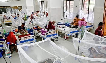 ডেঙ্গুতে ২ জনের মৃত্যু, হাসপাতালে ভর্তি ৫৭৩