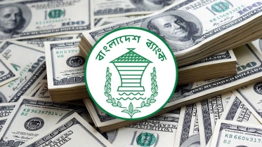 ৫০ হাজার ডলার পর্যন্ত বাড়ল রপ্তানিকারকদের অগ্রিম আমদানি বিল
